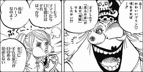 1063話扉絵でクラッカー氷漬けプリン誘拐 ポーネグリフ読む為三つ目族の真の開眼能力を狙って黒ひげは青キジに攫う命令 ワンピース考察 アニシラ