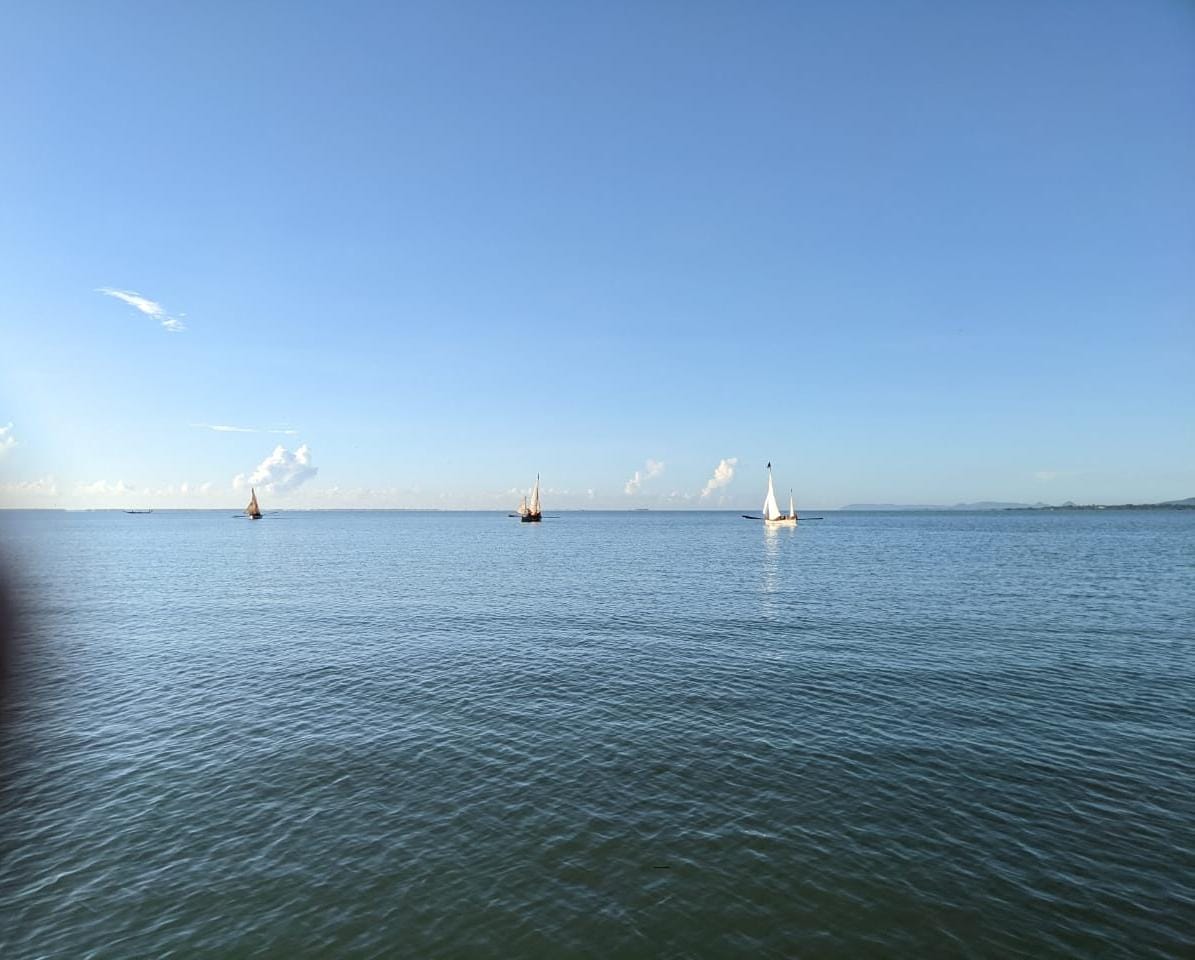 NCCDteOdisha's tweet photo. #NationalCadetCorps
Odisha Directorate NCC Sailing Expedition at Chilka Lake  Flagged Off on 11 Oct 2022 by Col Rajinish Kapoor, Group Commander, Cuttack Group.
60 cadets are  participating, will cover a total distance of 210 KM in 10 Days. https://t.co/l38nWsZRkc