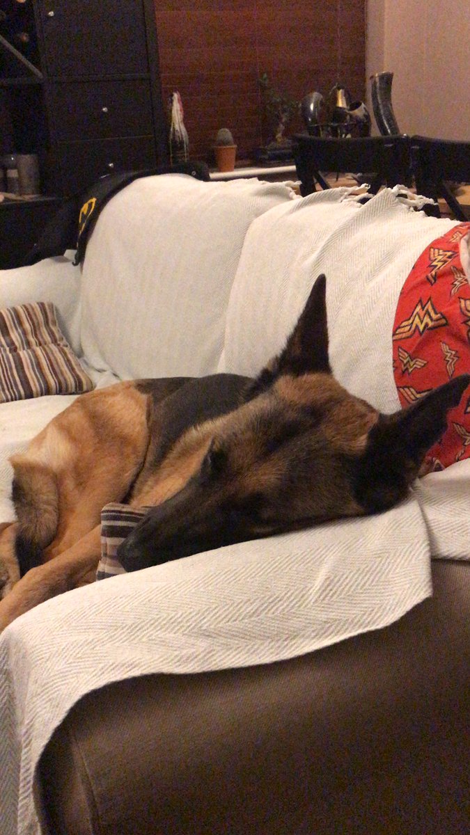 Dr Rachel Farrow 🇮🇪🇪🇺 tweet media