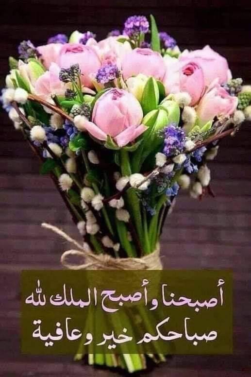Mohammed tweet media
