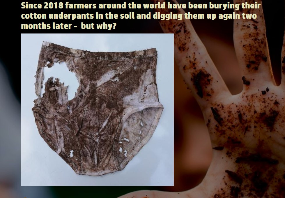 SoilVoices's tweet photo. Brand New - UK Soils Awareness Week #UKSAW Check out the fab quix https://t.co/NOfqXPuNbp @uksoils @BSSS @BBCGQT @wickedleeksmag https://t.co/Rgrs1ikfxX