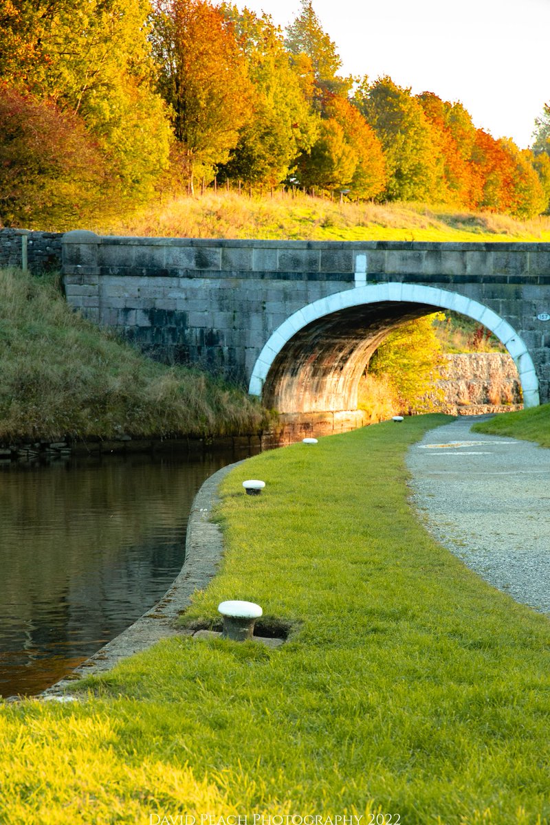 peachparking's tweet photo. Leeds Liverpool Canal looking very autumnal in the late afternoon sun 🍂
#leedsliverpoolcanal #canalrivertrust #autumn #autumnleaves https://t.co/YLUDERgtKo