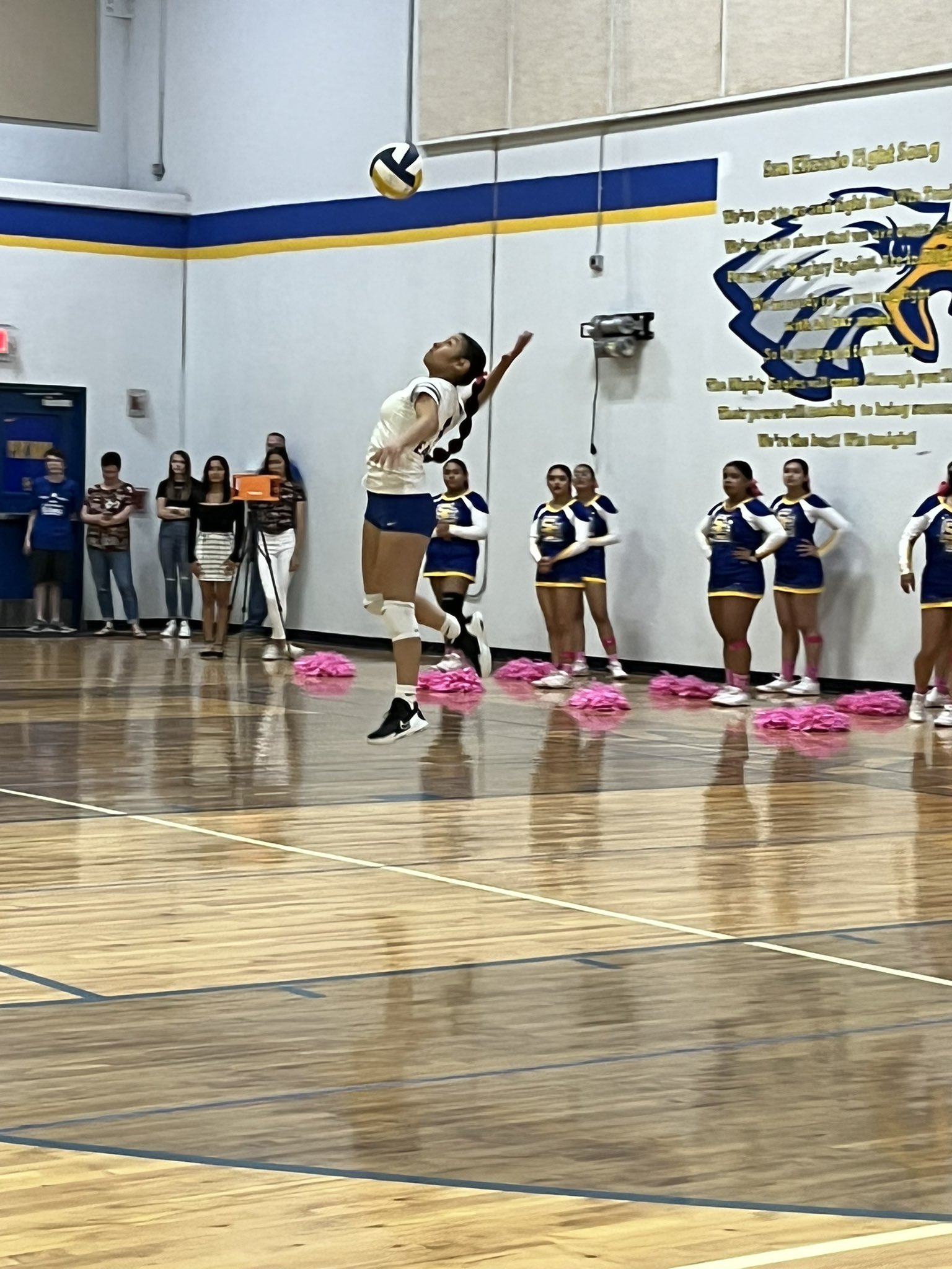 San Elizario Girls Volleyball 🏐 (Catalin56516283) / Twitter