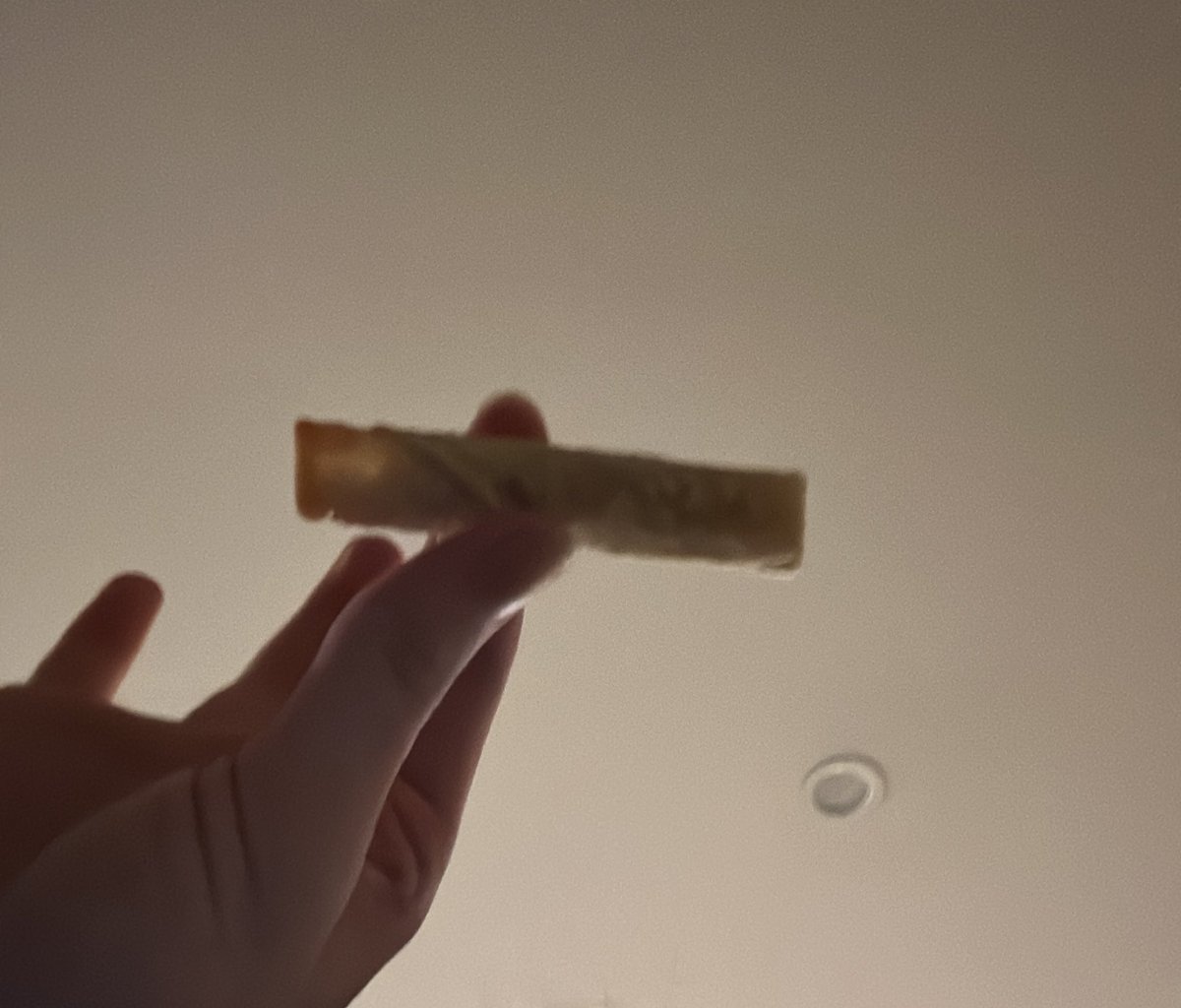 Ranboosaysstuff's tweet photo. @aimseytv @Sneegsnag @ranaltboo Taquito mmm https://t.co/nESPuvYnQ3