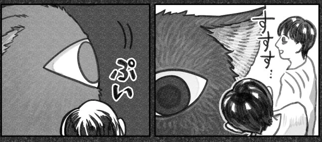 単行本のお知らせでお騒がせしております
『猫を拾った話。』、81話更新です! #ねこひろ
@HupeleMiyarisan

「プレッシャー」
https://t.co/KdxeyP0GAS

どうぞよしなに👁️ 