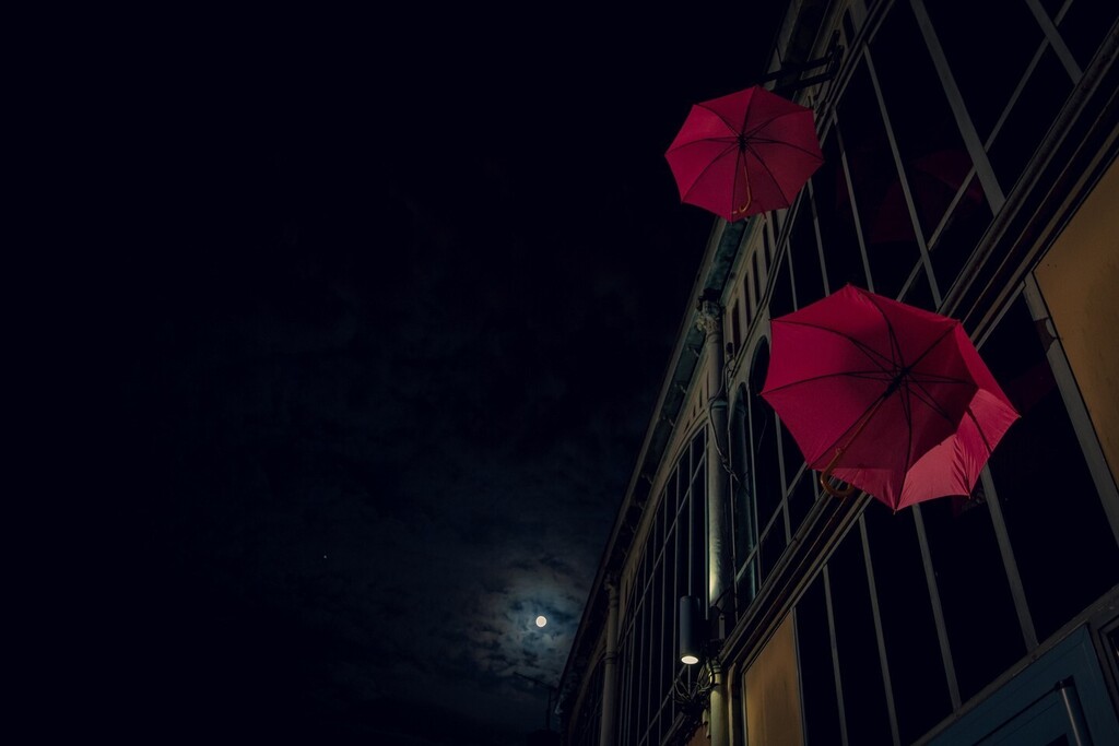 aarnauuud's tweet photo. Octobre rose à Cognac
.
.
.
#canoneosR6 #canoneos @sigmafrance #sigmaphotofr #photographecognac #cognacphoto #cognacmaville #destinationcognac @grandcognac @destinationcognac @villedecognac https://t.co/1HjOmQQPrH https://t.co/OBBdq2Fcfj
