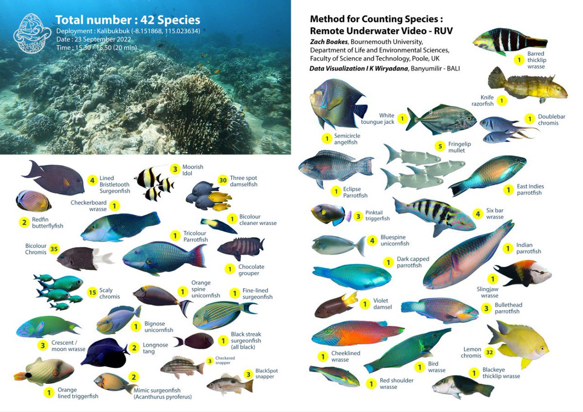 Dr Zach Boakes tweet media