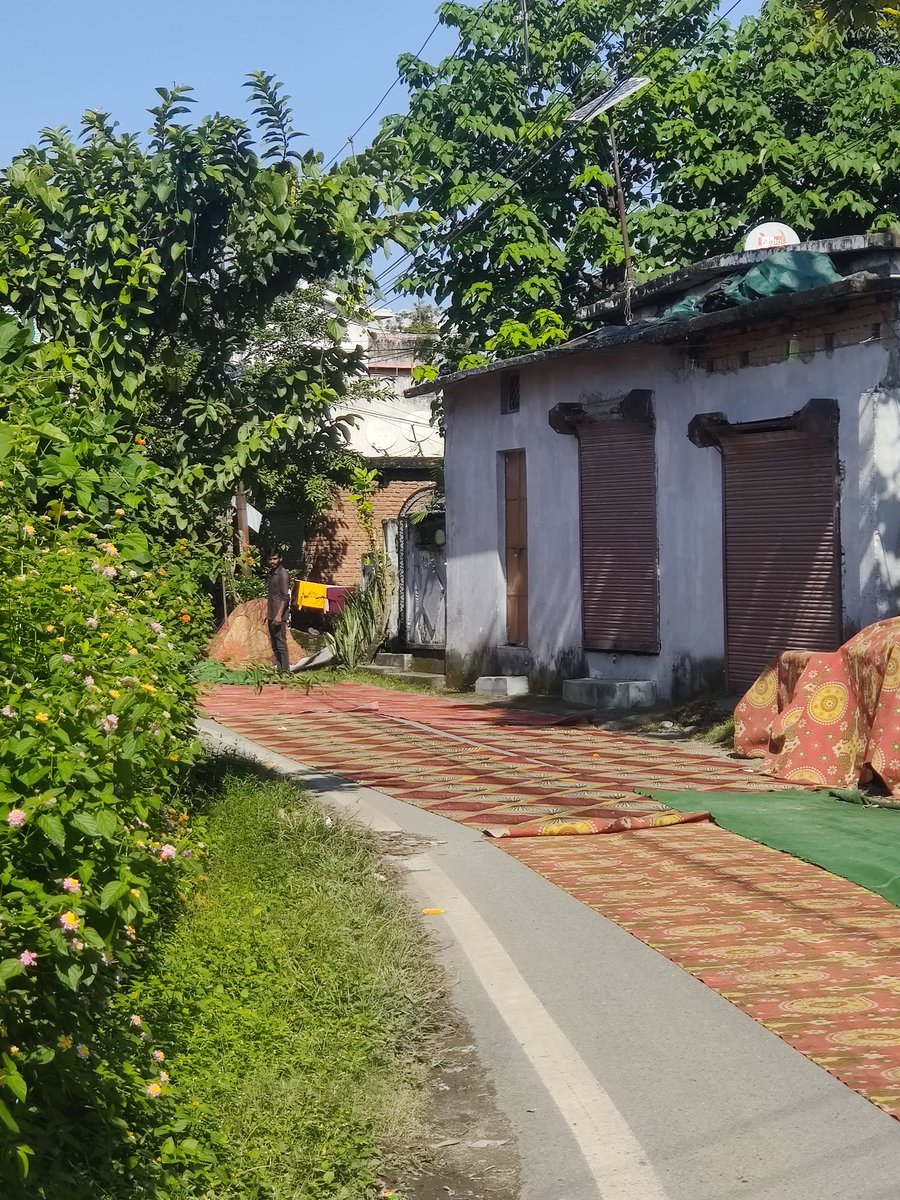 DhasmanaMaharsh's tweet photo. @DehradunPolice This is on nehrugram bangkhala road even after telling the tent house owner not to put these on the road there has been no positive response from him and today i almost slipped on it, this could cause a real bad accident for unknown people as it is a blind corner. https://t.co/2OgN3Ea5Dr