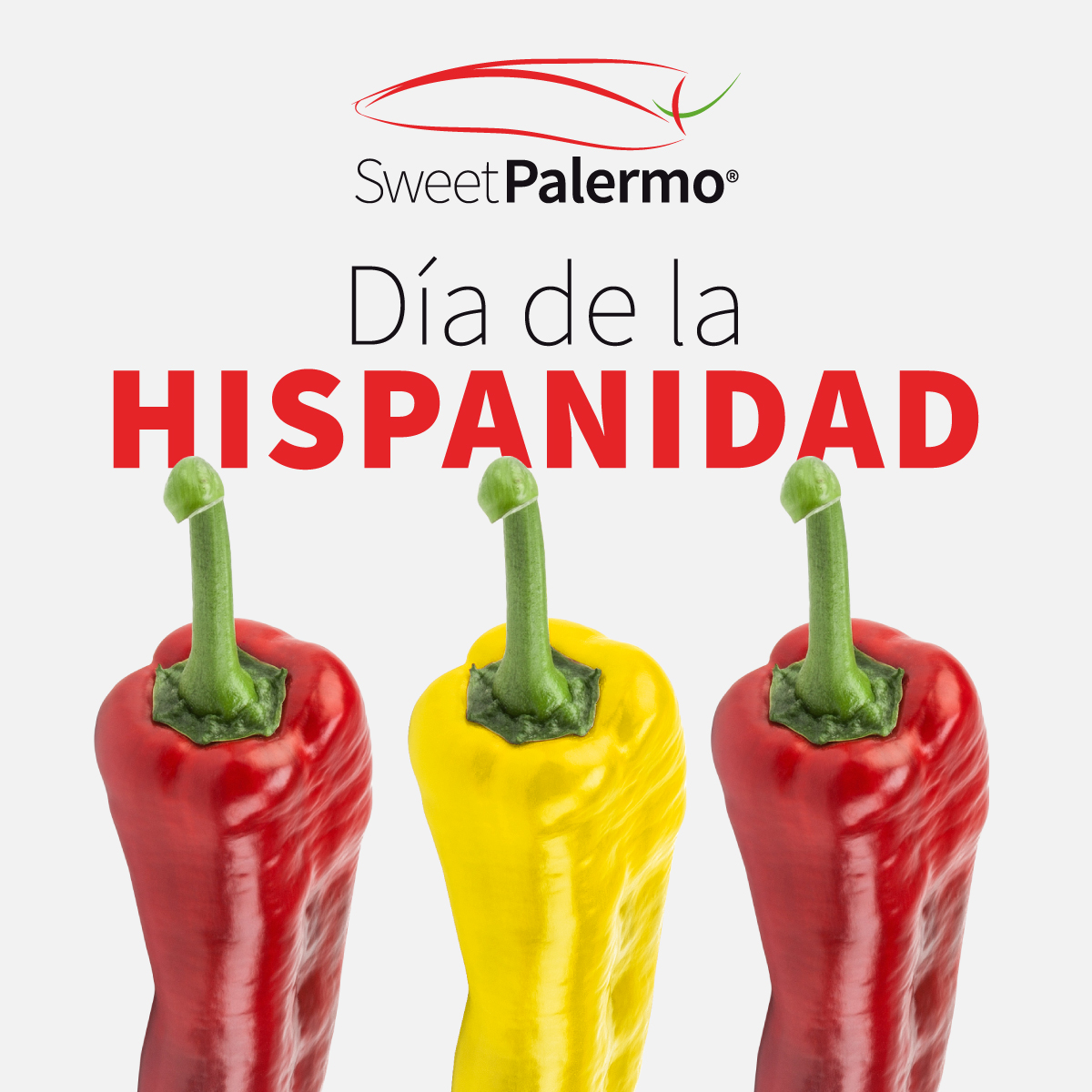 SweetPalermo_es's tweet image. ¡Feliz #DíadelaHispanidad! 🇪🇸 Esperamos que tengáis un bonito día libre de descanso para aprovechar con familia o amigos... ¿Por qué no alrededor de una mesa comiendo cosas ricas? 😙🌶️
