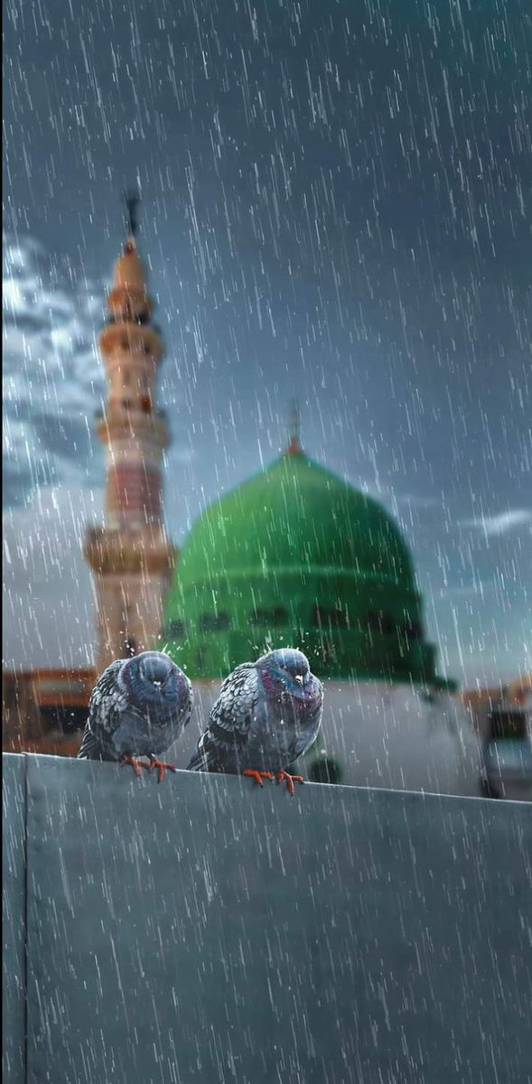 ندى الأعظمي tweet media
