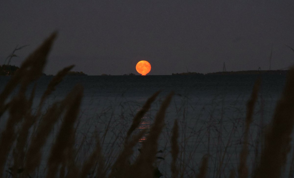 Authorportrait's tweet photo. #Moon #Fullmon #Blidö #Stockholm #Archipelago #Sweden #Nature #Photo #Photography https://t.co/qQlPORTX3S