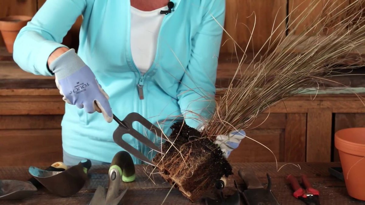 AllForGardening's tweet image. Favorite #Tools for ...
 
#ContainerGardening #FavoriteTools #Garden #GardeningTools #JapaneseGarden
 
allforgardening.com/239225/favorit…