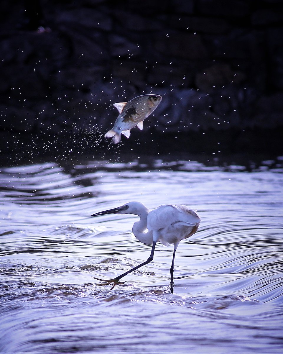 Entry for
#KingPRomulus
#artibraeth 

5 Tags👇
<a href="/Mizaru_Girls/">MIZARU Girls</a> <a href="/SwathiAchariya/">Swathi Achariya</a> <a href="/DhanushNFT/">DhanushNFT</a> @CoolMoneyRat <a href="/anaphoraen/">Anaphora🐣Open for Offers</a>

👇👇
Title - "The Winner"
♦️- 0.10 #ETH
foundation.app/@dhruv.panchas…
👆👆

<a href="/King_PRomulus/">King Romulus 🌐</a> <a href="/artibra_nft/">artibra</a> <a href="/LucMertens1/">Pigrasso 🚀</a> <a href="/BalitokCapital/">Balitok</a> <a href="/tynavelo/">Tynavelo</a> @IZZUNAeth <a href="/artalicjaanton/">Artalicjaanton 🫦</a>