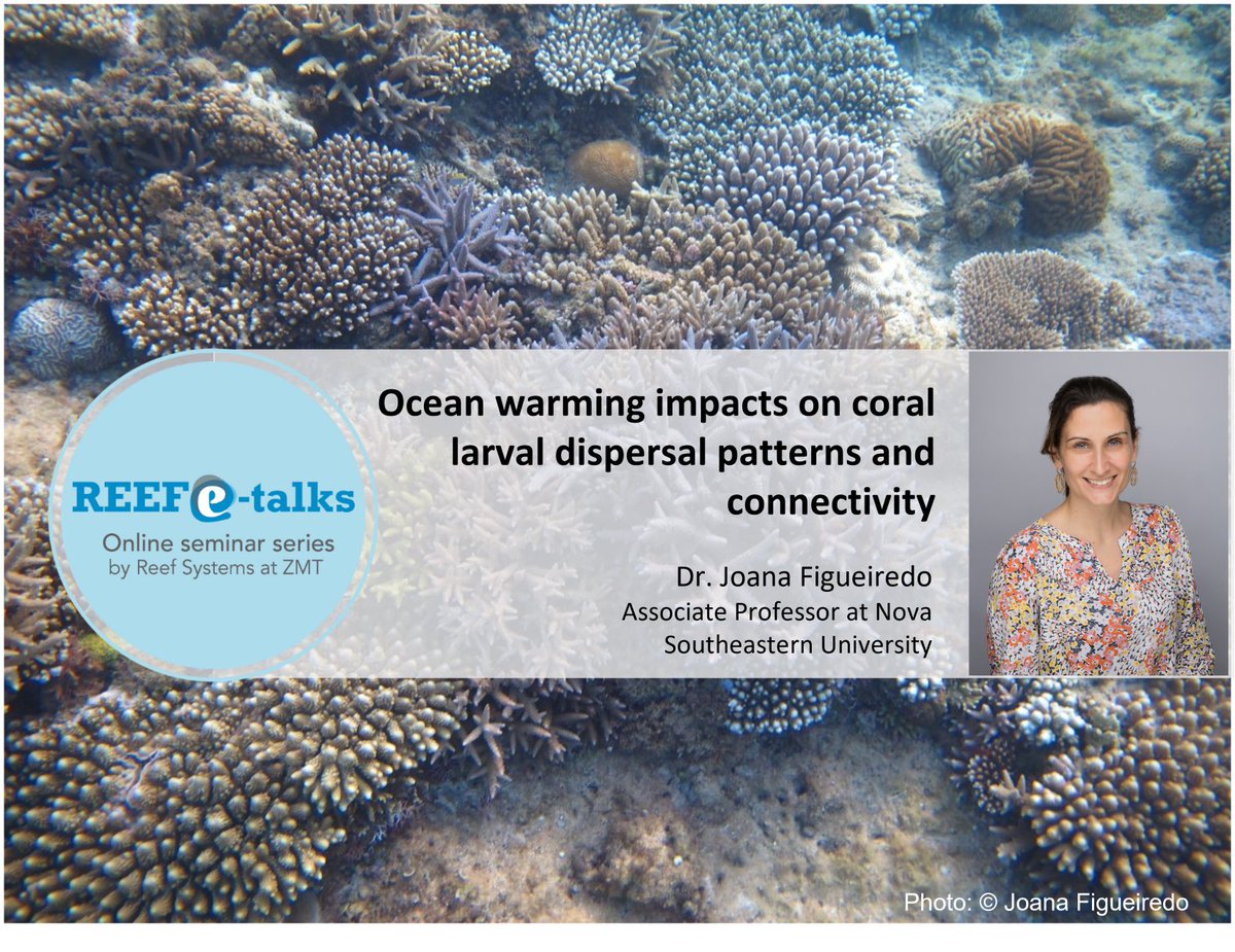 Get cozy 🍂 and join us for our next Reef e-Talk by Joana Figueiredo on 19th October 3pm (CET)/9am (EST) 🍂 ☕️
Register here: us02web.zoom.us/meeting/regist… 
<a href="/LeibnizZMT/">Leibniz Centre for Tropical Marine Research (ZMT)</a>