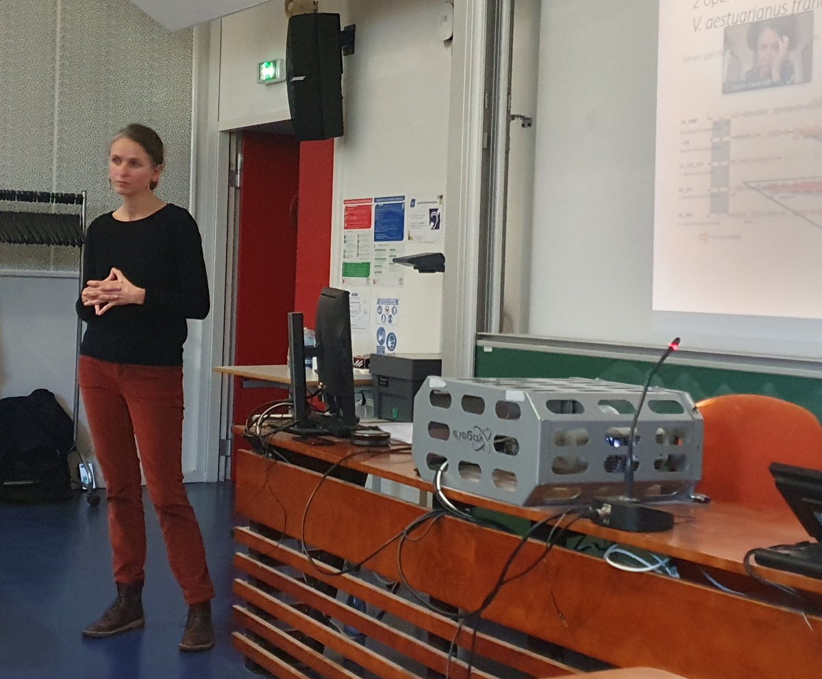 ddestoum's tweet photo. Congratulations to @MesnilAurelie on her #PhD defense! Beautiful work on #Vibrio aestuarianus #ecology and #evolution. Aurélie showed that two clonal lineages causing #disease in #oyster emerged in the 1970's and spread across Europe. Congrats Aurélie!
@ihpe_lab https://t.co/RtowGHNhYJ