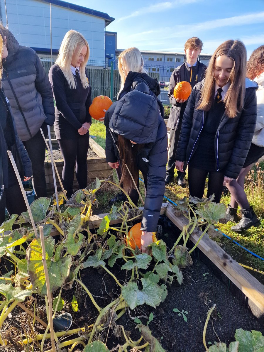 It's that time 🎃 #eatyourpumpkin is back!! Watch this space for what we have planned 👀 
#zerowaste #SustainableFood #Homegrown <a href="/DTMaesteg/">Maesteg School D&T</a>
