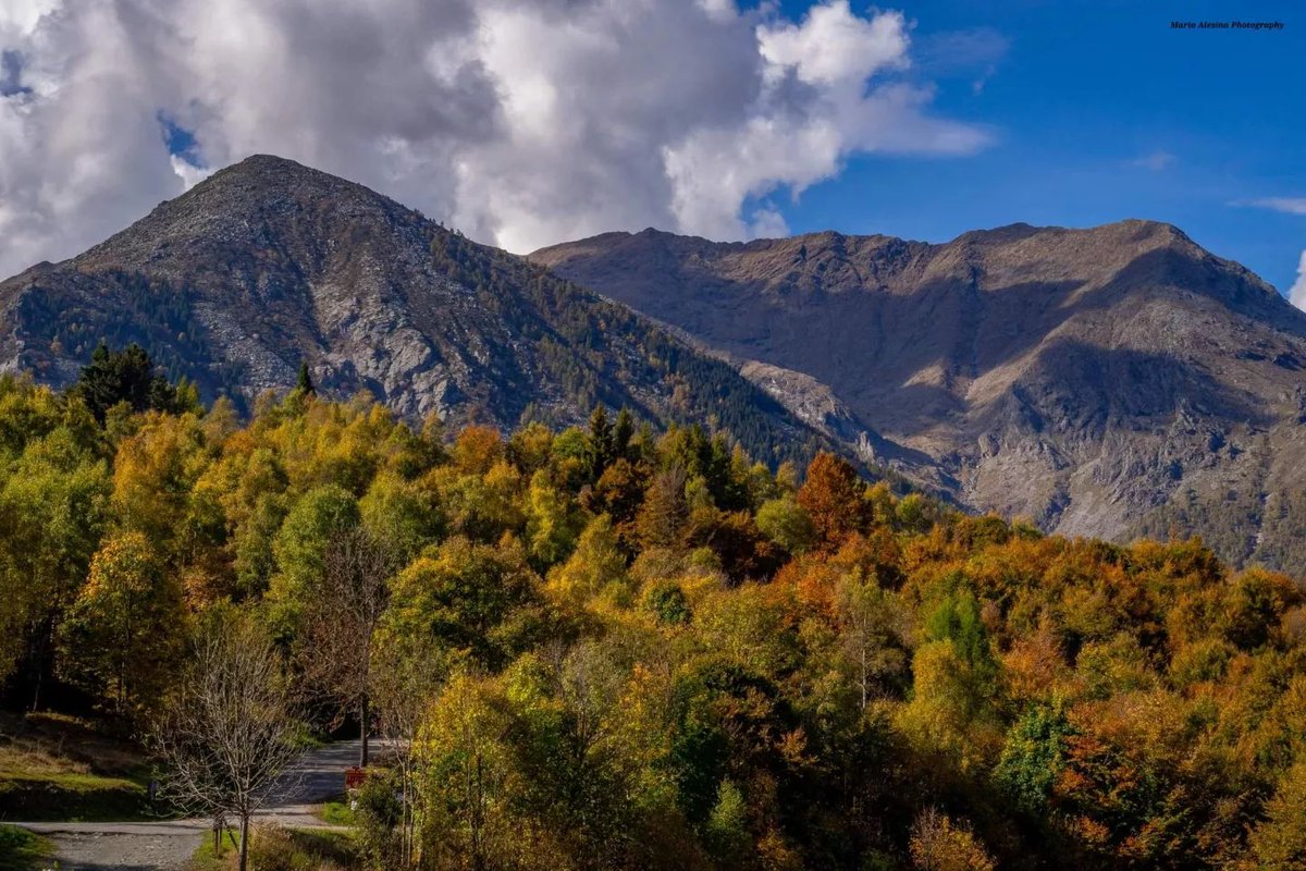 piemonte_italia's tweet photo. Oggi vi diamo il buongiorno con alcune immagini che ci ha inviato Mario Alesina del #ColledelLys. Un luogo molto bello, da dove si può godere di un'ottima vista, a pochi km da #torino
🌄Buona giornata! 🌄
#piemontedavivere @turismotorino @PiemonteInforma @piemonteparchi https://t.co/jynQSqL2By