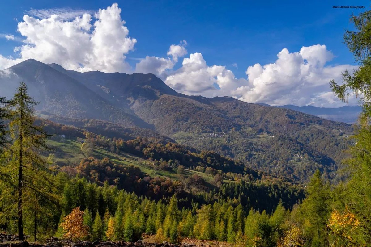 piemonte_italia's tweet photo. Oggi vi diamo il buongiorno con alcune immagini che ci ha inviato Mario Alesina del #ColledelLys. Un luogo molto bello, da dove si può godere di un'ottima vista, a pochi km da #torino
🌄Buona giornata! 🌄
#piemontedavivere @turismotorino @PiemonteInforma @piemonteparchi https://t.co/jynQSqL2By
