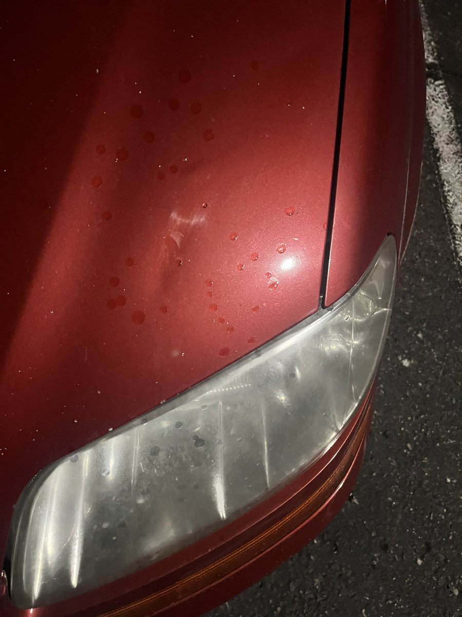 Jayden Chao tweet media