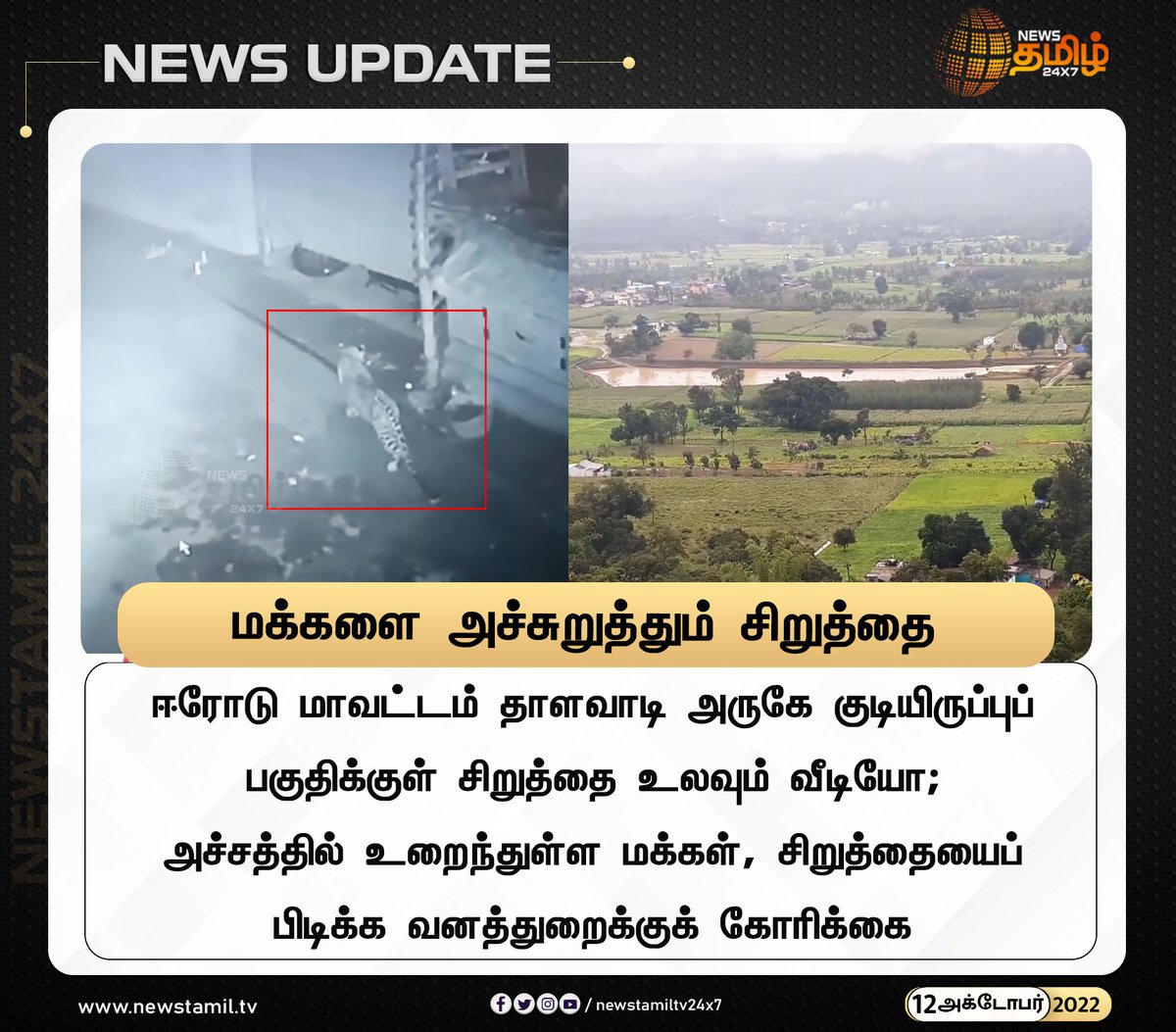 NewsTamilTV24x7's tweet photo. மக்களை அச்சுறுத்தும் சிறுத்தை
#NewsUpdate
#Erode #LeopardRoaming
#NewsTamil24x7 #நியூஸ்தமிழ்24x7 https://t.co/OOYSOWvAy2