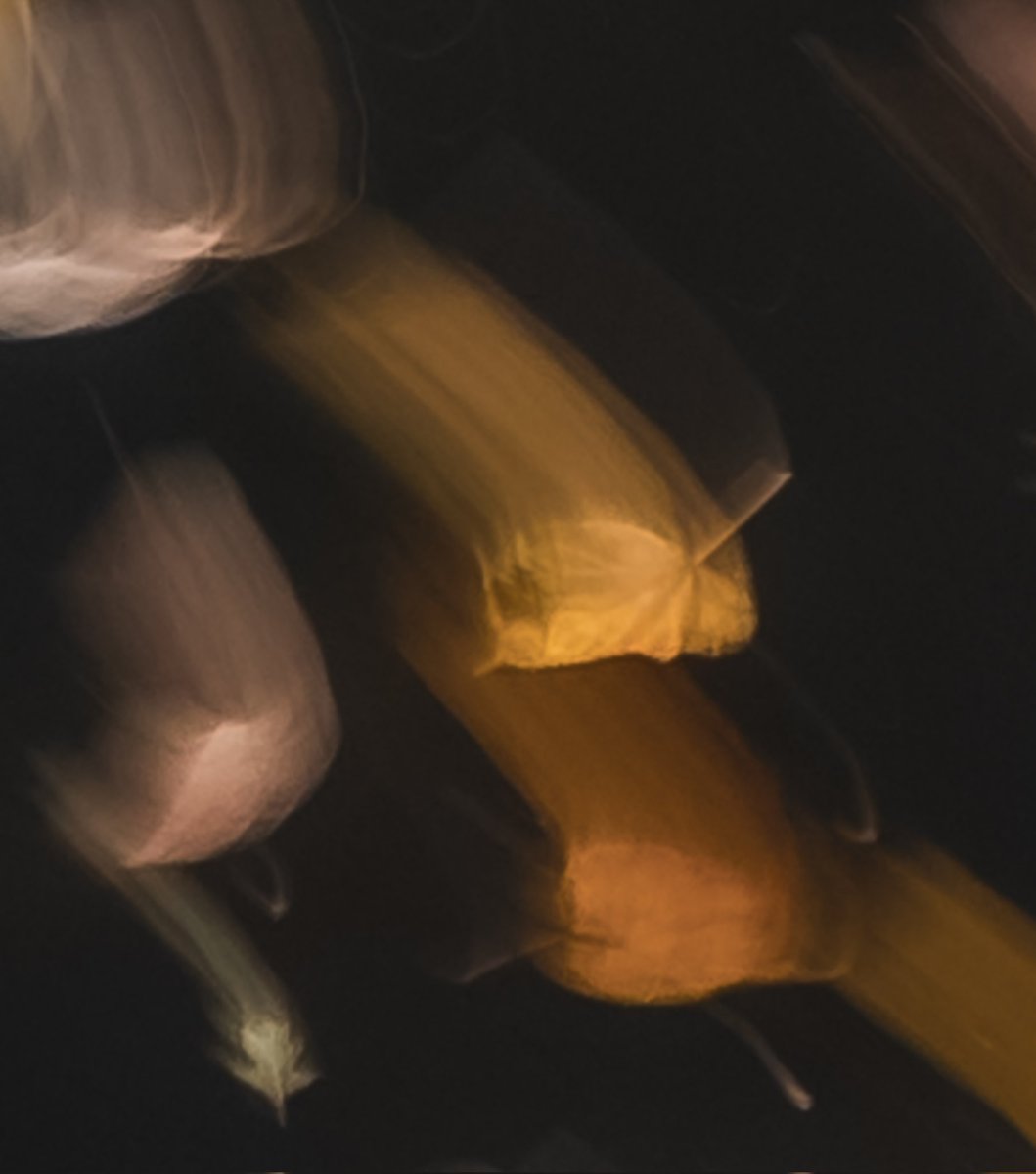 'Falling'
.
.
Handheld 0.5s / <a href="/NikonEurope/">NikonEurope</a> Z7ii / Nikon 20mm 1.8s /  <a href="/Haidafilter/">Haida Filter</a> magnetic CPL / 200% crop