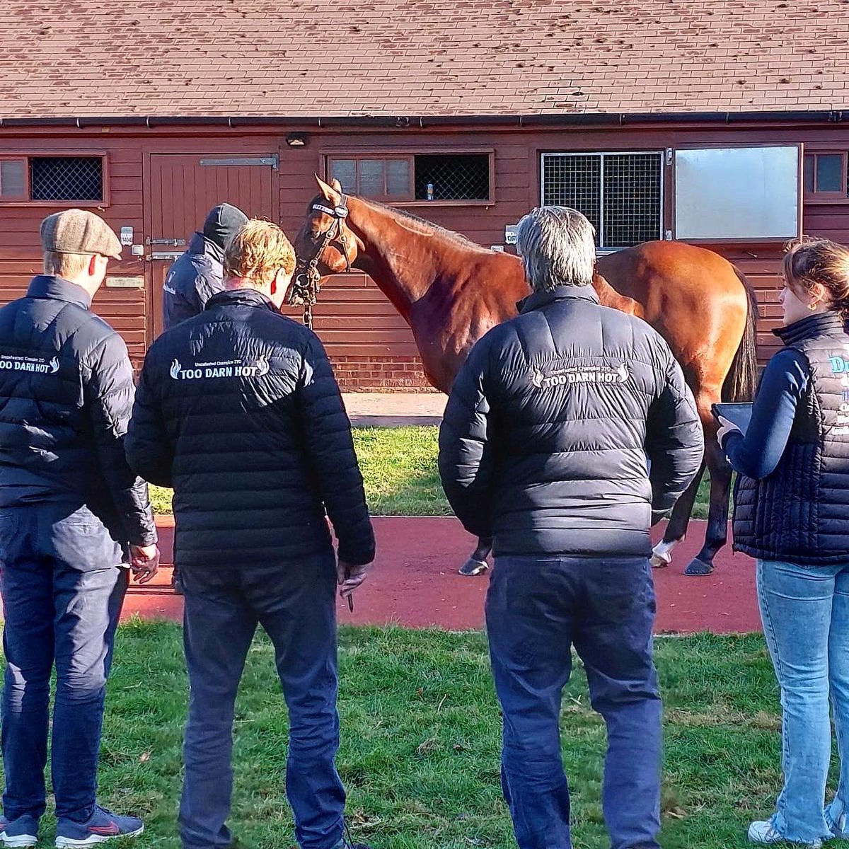 WatershipStud's tweet photo. It’s the final day of @Tattersalls1766 Book 2 sale today. We have a busy day with 5 lots to sell, including 2 by #toodarnhot 🔥 

#tattsoctober
#breedingsuccess
#breedingchampions https://t.co/e9AbOhzXEu