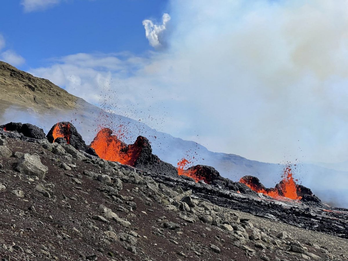 Serious Infections tweet media