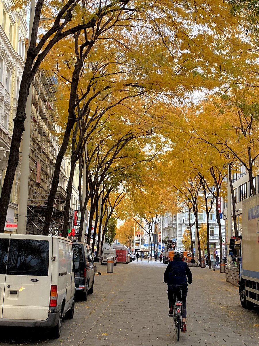 BenSostenuto's tweet photo. Good morning from Vienna 🍂🎶☕️
Beautiful autumn foliage in the 6th district (Mariahilferstraße). Have a lovely day! 😊
#OldVienna #6thDistrict #Mariahilf #AutumnInVienna #GoodMorning #VPO https://t.co/NM8M6O3blr