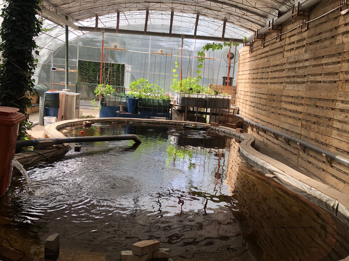 Exciting things happening at #tashschool. Check out our new #aquaponics greenhouse. ceesa.org/tashkent-is-bu… <a href="/DohaDerek/">Derek Nelson</a>  <a href="/billkralovec/">Bill Kralovec</a> <a href="/Dequanne/">Barry Dequanne</a> <a href="/CEESAorg/">CEESAorg</a>  #enviroed
