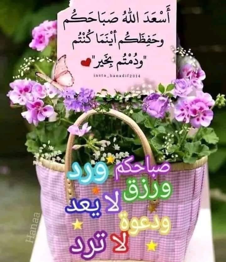 AbadaAslim's tweet photo. @lili_bochra https://t.co/sorC5V027A
