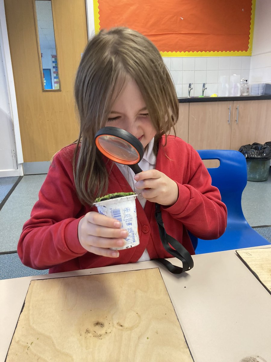 Grimes Dyke Primary School tweet media