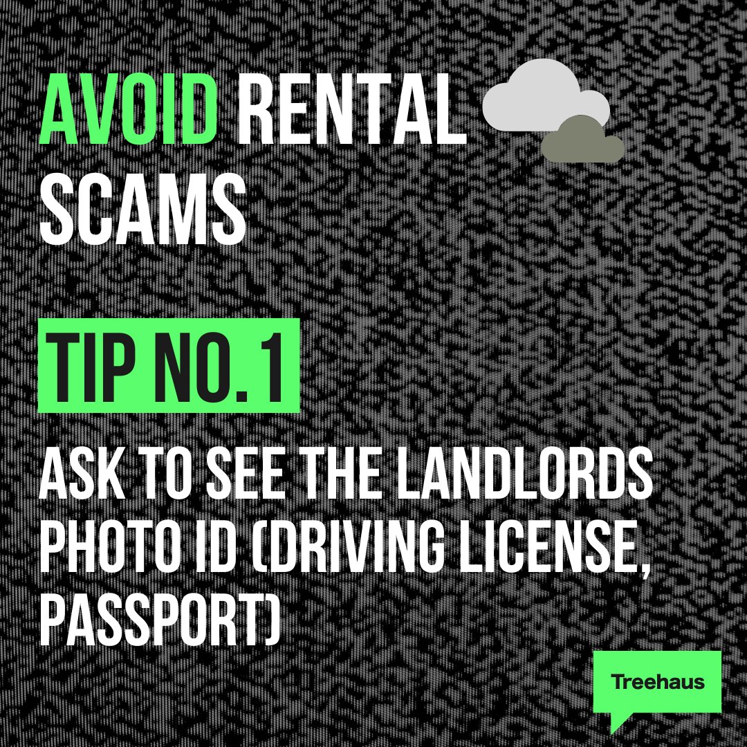 Treehausreviews's tweet photo. #WednesdayWisdom 
Did you know since covid, rental scams are booming. Know what to look for and how to avoid rental scammers!

#landlord #rent #roguelandlord #deposit #rentalscam #scamlandlord #costofliving https://t.co/MX68xRxhQw