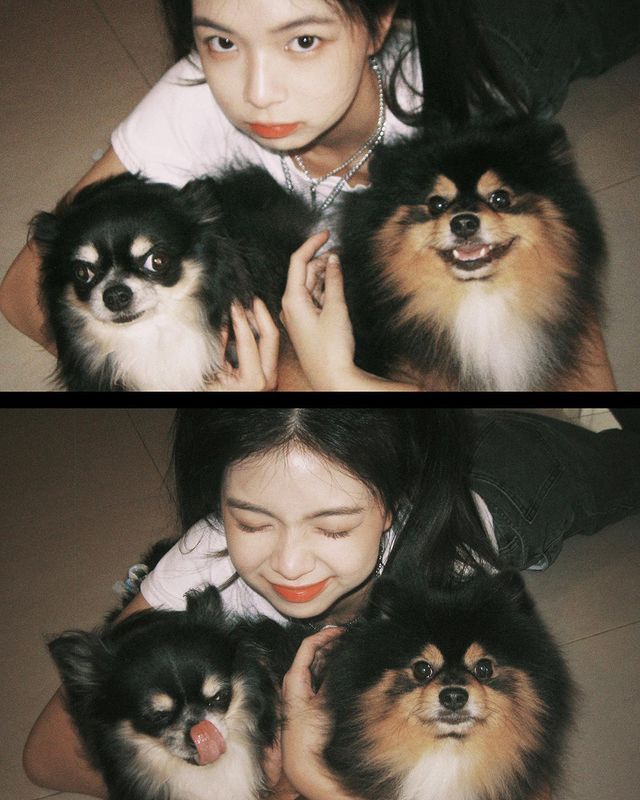 Jackson55146004's tweet photo. My baby~~🥰 https://t.co/Xeu99UQdMX