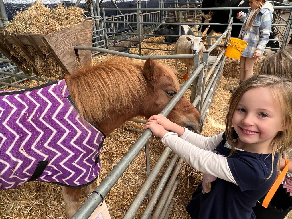 We enjoyed an amazing visit to the pumpkin patch at Ruffins Farm this weekend 🎃🎃 It was fantastic to visit the farm on a beautiful day to pick our pumpkins, cuddle all the baby animals, find our way through the amazing maize maze and start raising our spirits this Halloween.