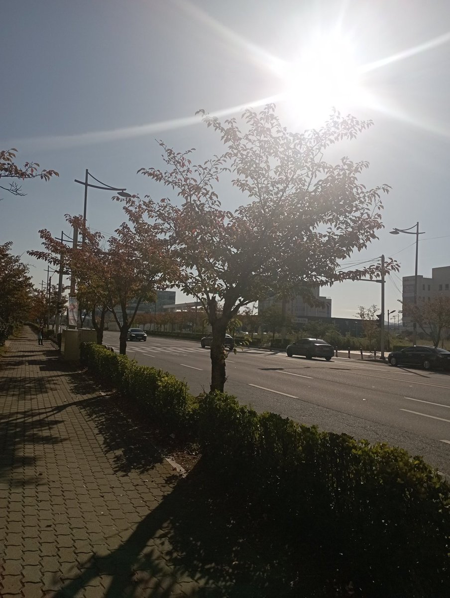 FaithGameZone's tweet photo. Late upload😅 this morning
Having a good cold morning
With maxrep earning while walking💪👌
@The8CHAIN #Maxrep #workouttoearn https://t.co/fi3PCVEwIb