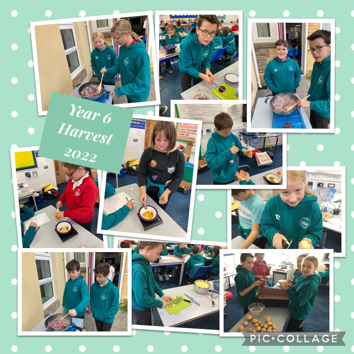 YsgolTycroes's tweet photo. Year 6 preparing for today’s Harvest Celebration #ygthum #ygtacl #ygthaw https://t.co/4SQOdVKdVX