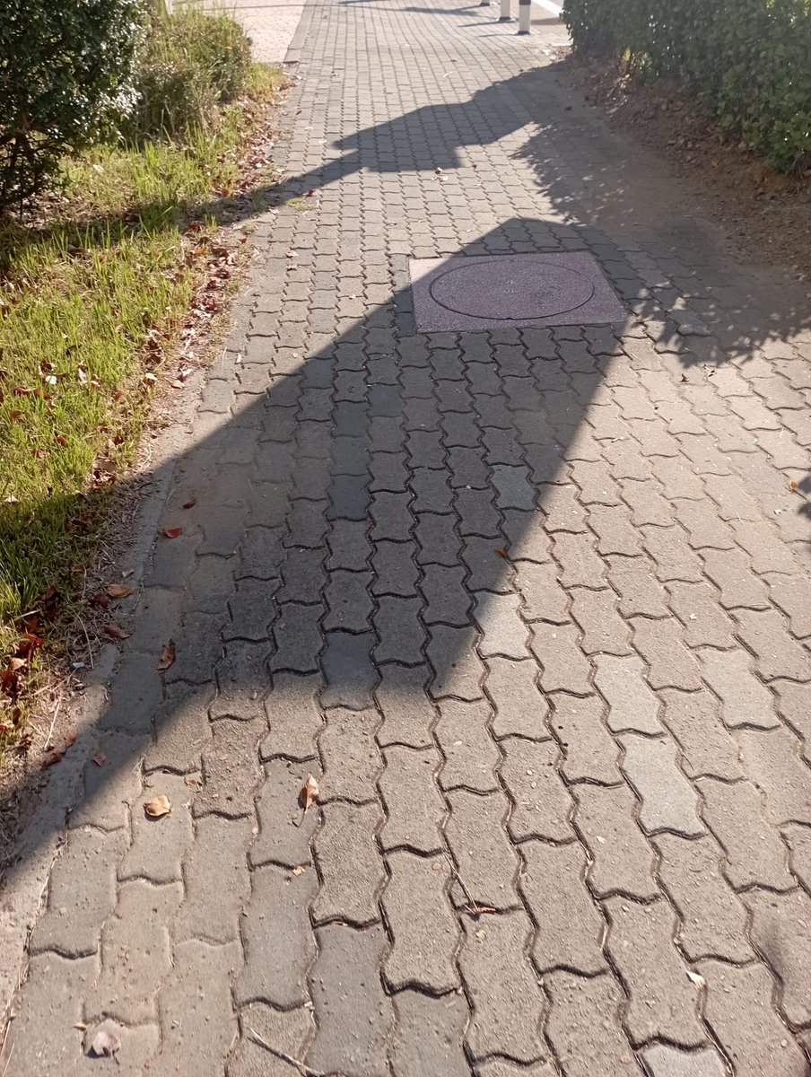 FaithGameZone's tweet photo. Late upload😅 this morning
Having a good cold morning
With maxrep earning while walking💪👌
@The8CHAIN #Maxrep #workouttoearn https://t.co/fi3PCVEwIb
