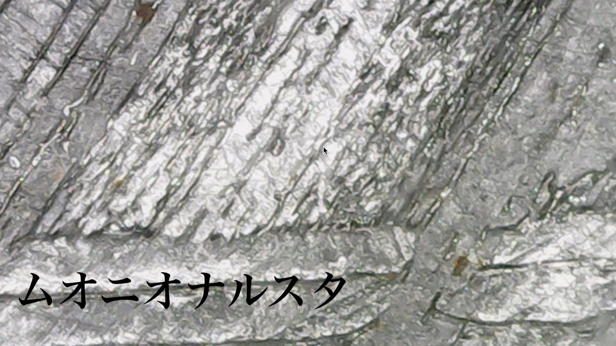 こうやって拡大して比較すると、ギベオン隕石とムオニオナルスタ隕石の