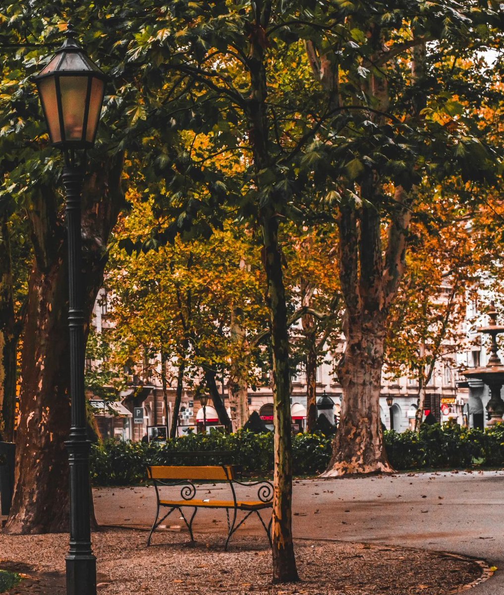 Croatia_hr's tweet photo. Feel the charm of Zagreb downtown, surrounded by beautiful architecture. Autumn in Zrinjevac will take your breath away!😍
#FallingForCroatia #BestFallCroatiaBucketList
Photo by mia.drzaj https://t.co/IFYJAfjDrH