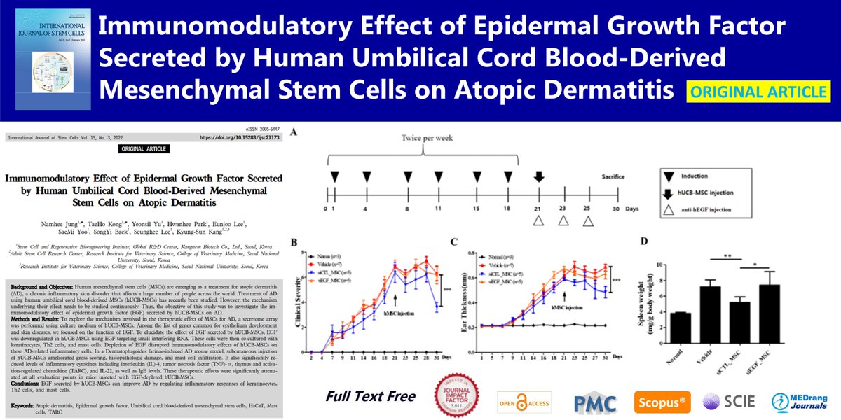 IntJStemCells's tweet photo. Immunomodulatory Effect of Epidermal Growth Factor Secreted by Human Umbilical Cord Blood-Derived Mesenchymal Stem Cells on Atopic Dermatitis
open access🌷https://t.co/hi1cycYz70
2022;15(3) Namhee Jung
#Atopic_dermatitis #Epidermal_growth_factor
#HaCaT #Mast_cells #TARC https://t.co/1X16KsfGaV