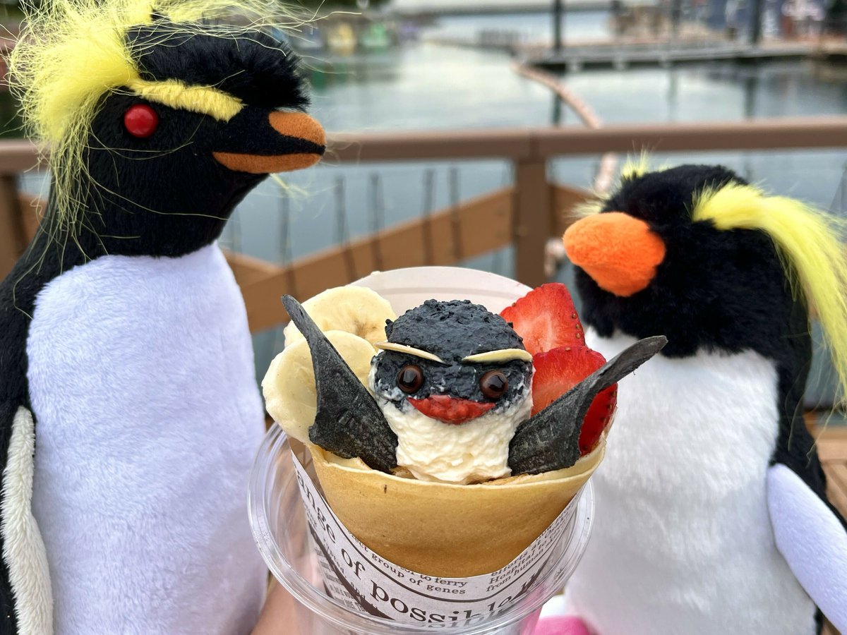 可愛すぎて食べられない！❤ イワトビペンギンをモチーフにした
