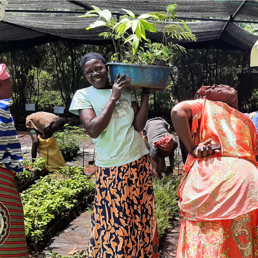 coopafrica's tweet photo. Voor elke fiets 🚲 die @coopafrica in Oeganda distribueert planten we 10 bomen 🌳!
#onebiketentrees #eenfietsmaakthetverschil #voedselzekerheid #klimaatactie #planteenboom #breadfruit #bomen https://t.co/5afQVHjKKS