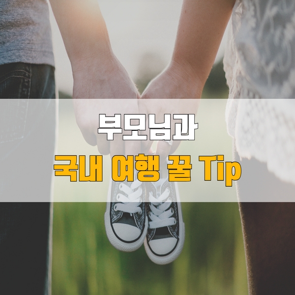 AIRTNTOFFICIAL's tweet photo. 부모님과 국내 여행꿀팁👨‍👨‍👧‍👦
자세한내용은👉https://t.co/9otLIUCW1E

#airtnt #AirTnT #tnt #여행 #여행스타그램 #여행이좋다 #여행지추천 #여행중독 #소통해요 #꿀팁공유 #여행다녀왔습니다 #혼자여행 #여행준비 #여행꿀팁 #해외여행 #국내여행 #축제 #여행에미치다 https://t.co/UE0PorGJk0