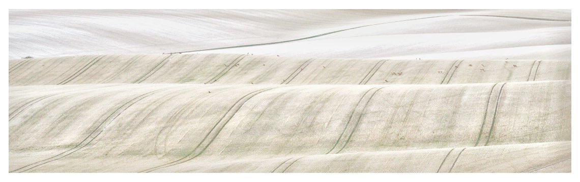 jwmcdowall's tweet photo. Final image in my โEdge of the Chilternsโ series complete with Deer #landscapephotography #hertfordshire #chilterns #rollingfields #sonyalpha @SonyUK #appicoftheweek https://t.co/dQo3KPLbVq