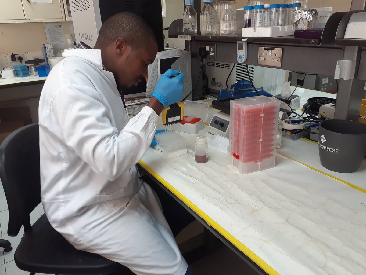 seqartafrica's tweet photo. Getting the pippetting right by magnetic #beads using #thermofisher pipettes

#africascience #labwork #dna #dnaextraction #qualitycontrol #kenya #nohumanislimited https://t.co/bDIbsTpQlv