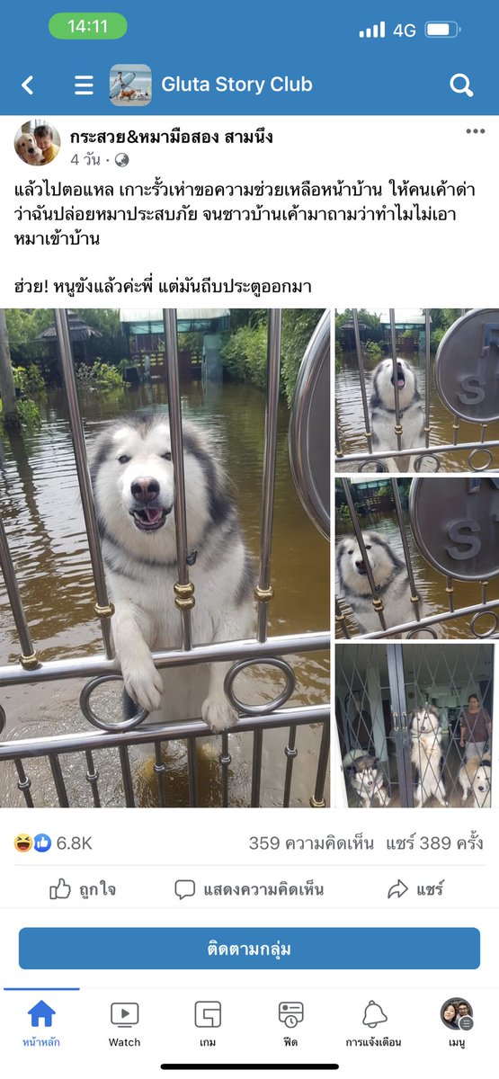 seachw08's tweet photo. @sugarbabeland @TarotYouuuu ไปอ่านเจอมาค่ะ 55555 https://t.co/HeuGDQTciV
