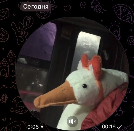 я конечно не хвастаюсь, но смотрите что мне подарили мои друзья