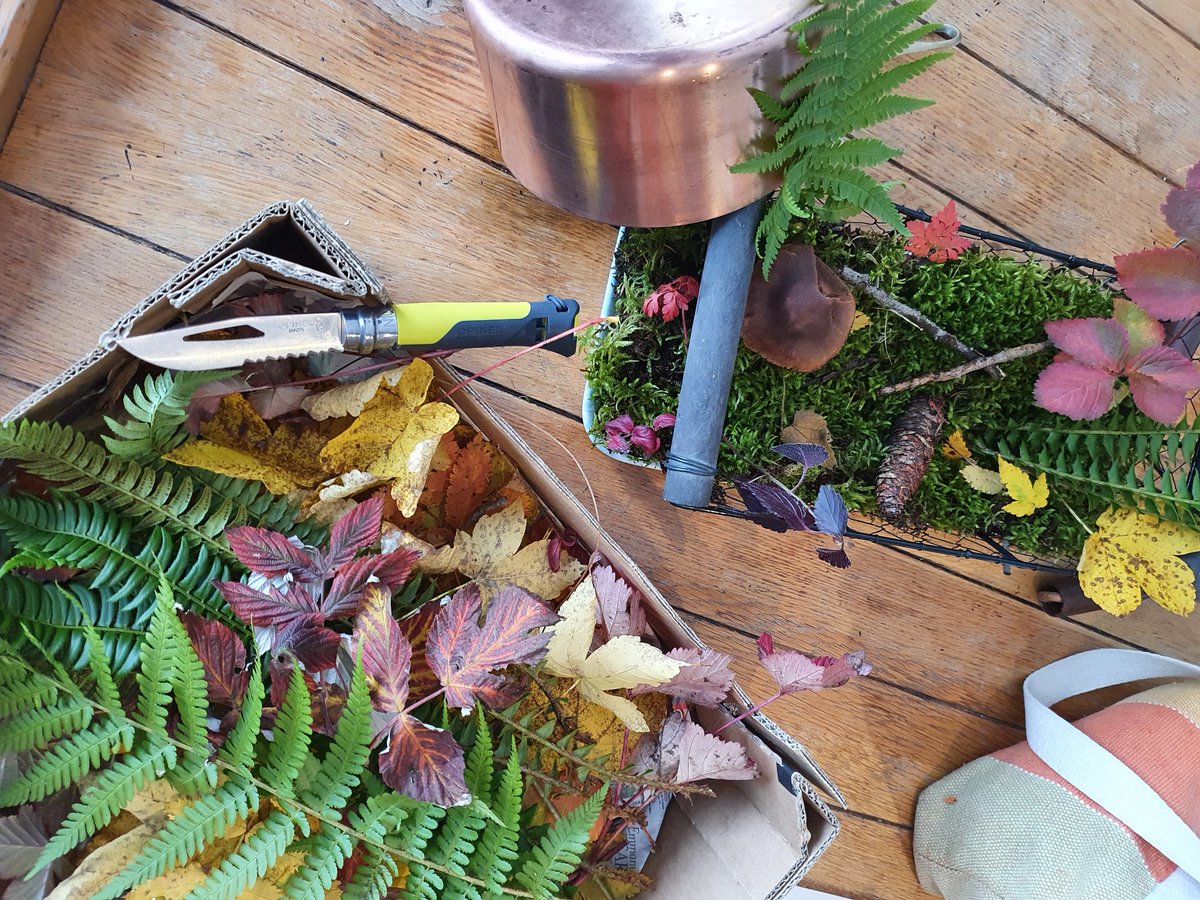 thierryfdz's tweet photo. La #bistrologiale de ce soir sera automnale ! Et artistique 🙃... https://t.co/shY2Drhg4X