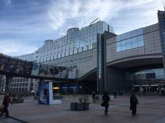 Always much nicer to meet MEPs in their House instead on Zoom. Looking forward to good exchanges this morning with @Vera_Tax and her team <a href="/Feport_EU/">FEPORT</a>