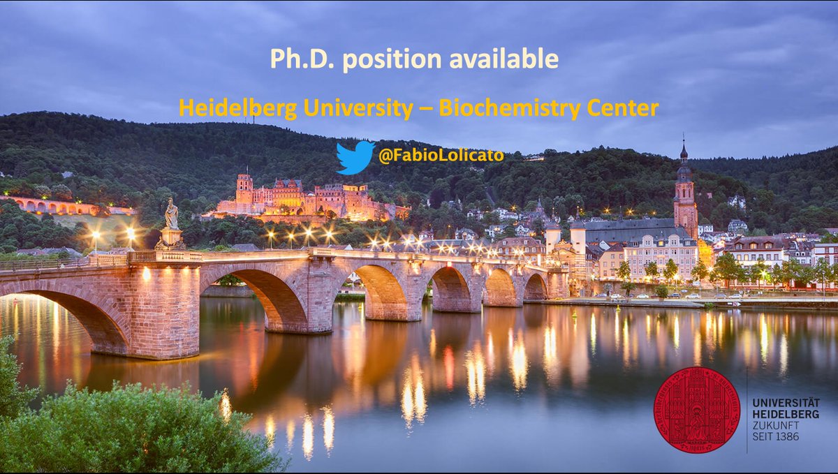 Fabio Lolicato (@fabiololicato) on Twitter photo 🚨 #LipidTime Job Alert🚨
(Pls RT 🙏)
I have my first open Ph.D. position at <a href="/UniHeidelberg/">Uni Heidelberg</a>!
A 3-year funded #DFG project!
Email me if you are interested in combining MD simulations with biochemical reconstitution assays!
Start on Jan 1st. 🚨 #LipidTime Job Alert🚨
(Pls RT 🙏)
I have my first open Ph.D. position at <a href="/UniHeidelberg/">Uni Heidelberg</a>!
A 3-year funded #DFG project!
Email me if you are interested in combining MD simulations with biochemical reconstitution assays!
Start on Jan 1st.